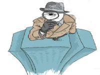 盐山县取证公司解说第三者承担离婚赔偿责任吗